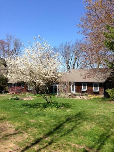 Bed & Breakfast Inn At Fox Hill Farm