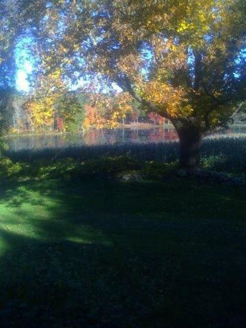 Bed & Breakfast Inn At Fox Hill Farm