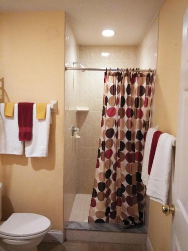 Swashbuckler Motel
