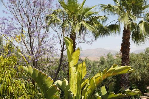 Bed & Breakfast Le Petit H�tel Du Flouka
