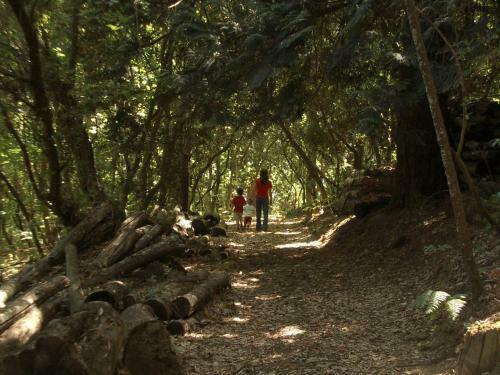 Agroturismo Quinta De Santa J�lia