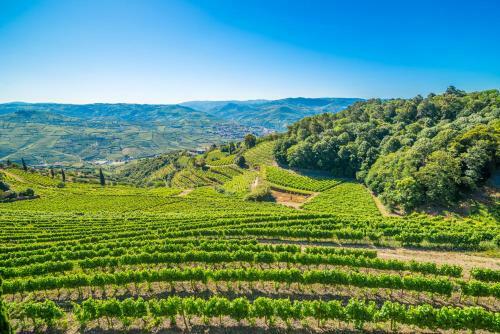 Agroturismo Quinta De Santa J�lia