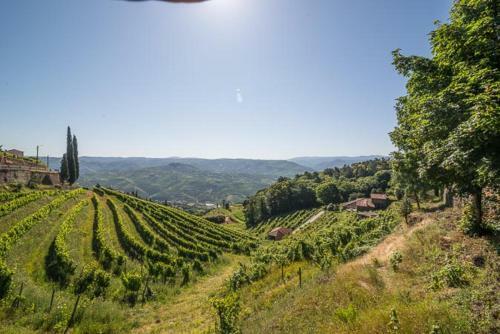 Agroturismo Quinta De Santa J�lia