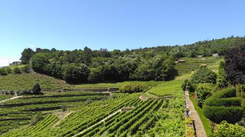 Agroturismo Quinta De Santa J�lia