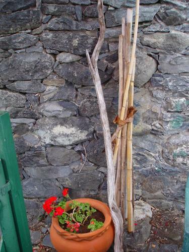 Hostal Quinta Da Vila