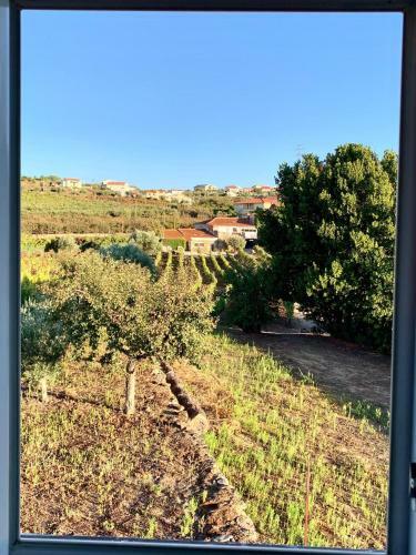 Hostal Casa De Sao Miguel Douro