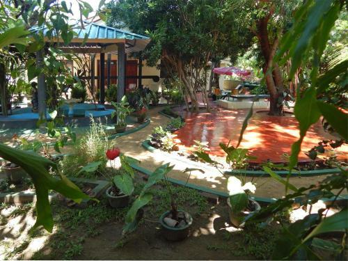 Hostal Rico Shadow Guest House & Restaurant