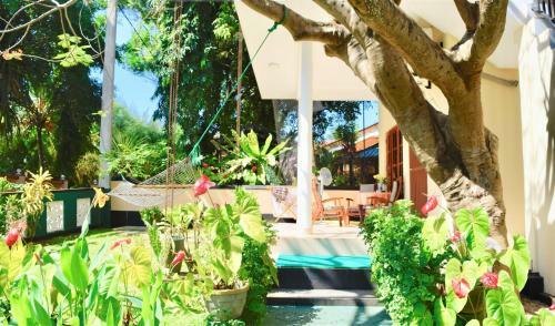 Hostal Rico Shadow Guest House & Restaurant