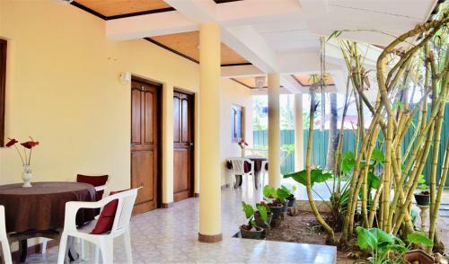 Hostal Rico Shadow Guest House & Restaurant
