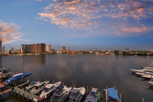 Apartamentos Sunny Isles Vacations