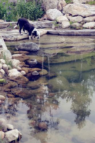 Bed & Breakfast Talus Rock Retreat