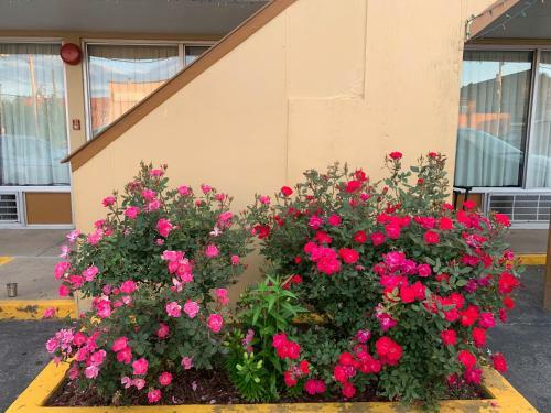 Posada Budget Inn Express