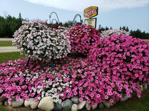 Sunset Motel Of St. Ignace