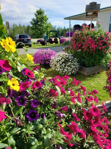 Sunset Motel Of St. Ignace