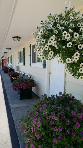 Sunset Motel Of St. Ignace