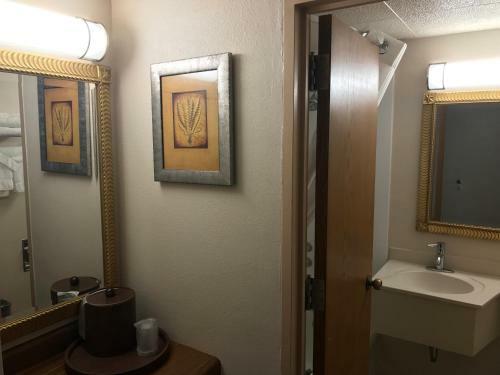 Hotel Ramada By Wyndham Albert Lea