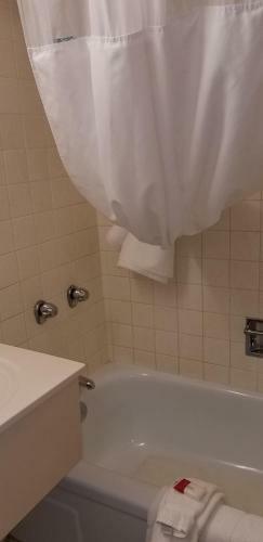 Hotel Ramada By Wyndham Albert Lea