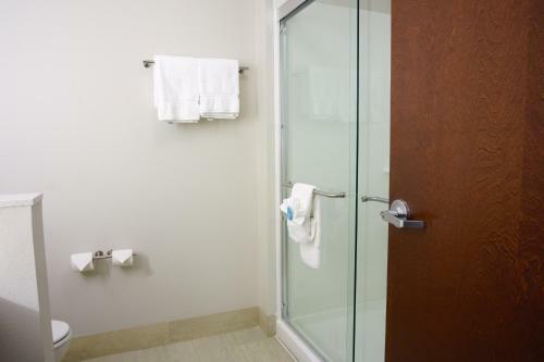 Hotel Holiday Inn Express & Suites Omaha - Millard Area