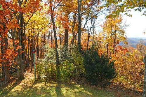 Bed & Breakfast Orchard Inn