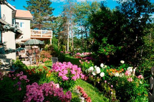 Bed & Breakfast G�te Au Pied Du Courant
