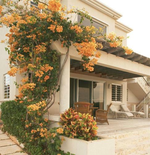 Villa Little Butterfly