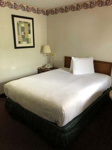 Motel Rexdale Inn