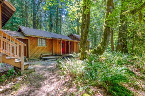 Alderwood