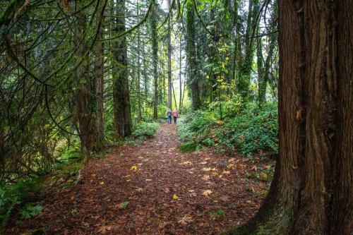 Sandy River Serenity