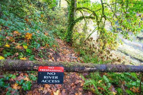 Sandy River Serenity
