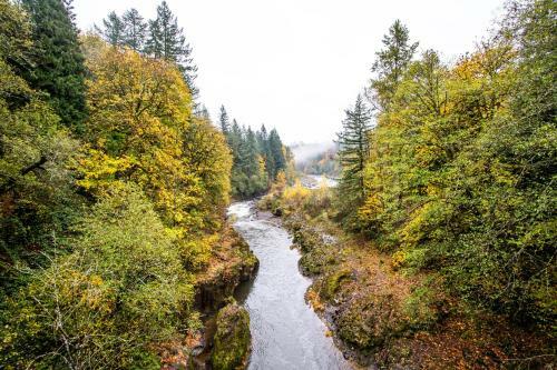 Sandy River Serenity