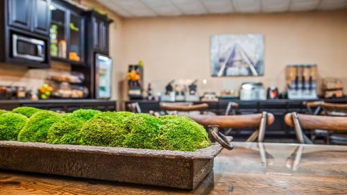Hotel Best Western Prineville Inn