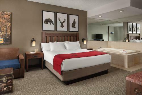 Hotel Great Wolf Lodge Grapevine