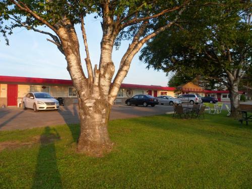 The Silver Birch Motel