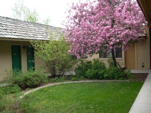 Lodge Flying Saddle Resort And Steak House