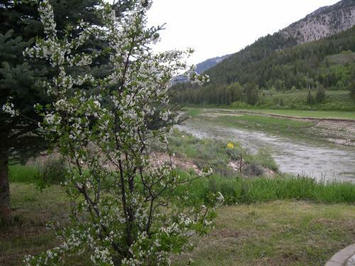 Lodge Flying Saddle Resort And Steak House