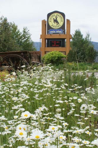 Lodge Flying Saddle Resort And Steak House
