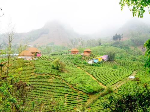 Lodge Moc Chau Arena Village