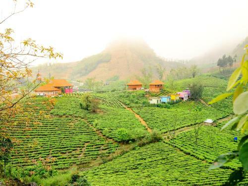 Lodge Moc Chau Arena Village