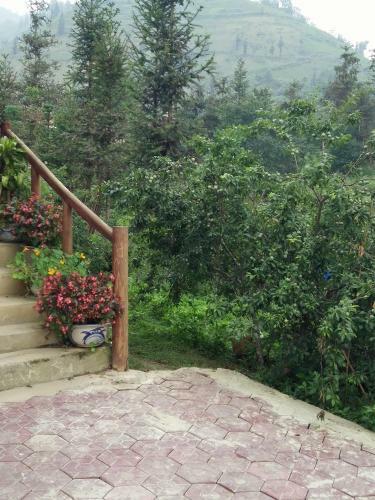 Flower Hmong Homestay