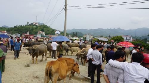 Huy Trung Homestay
