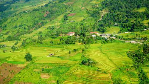 Huy Trung Homestay