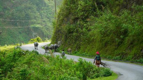 Huy Trung Homestay