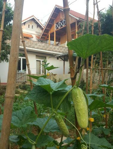 Huy Trung Homestay