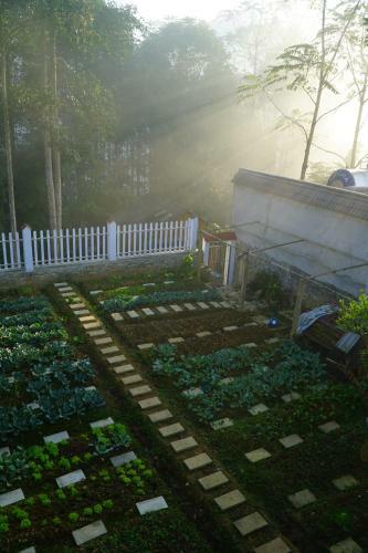 Huy Trung Homestay