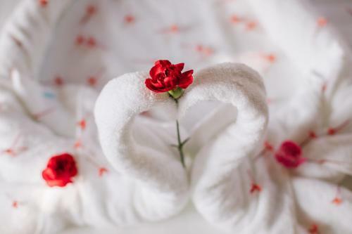 Hotel Palm Hill Resort