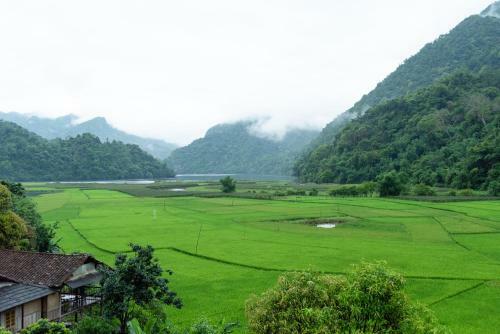 Minh Quang Homestay