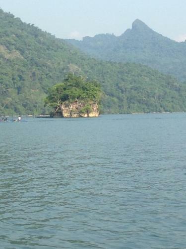 Ba Be Lake Homestay - Quynh Chi
