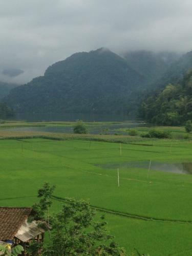 Ba Be Lake Homestay - Quynh Chi