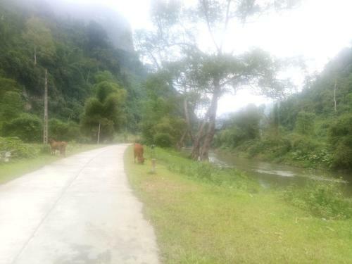 Thai An Homestay At Ba Be