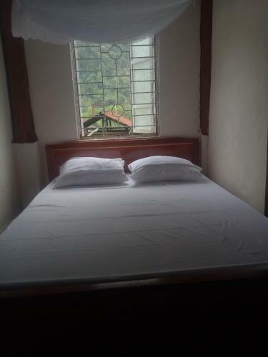Thai An Homestay At Ba Be